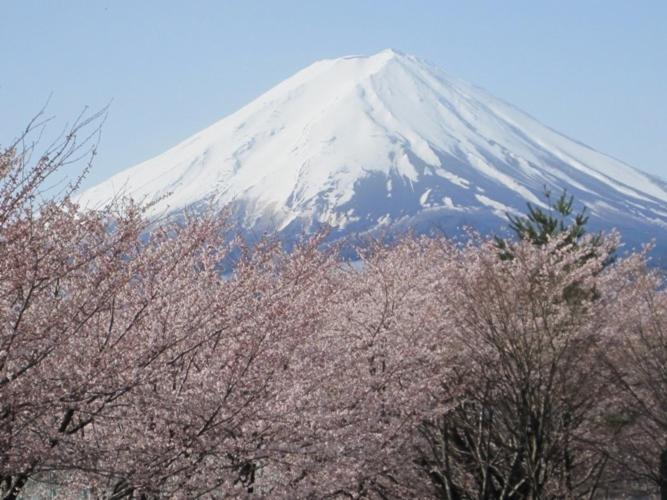 Hotel Shuhokaku Kogetsu à Fujikawaguchiko Extérieur photo